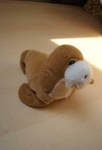 pluche knuffel walrus +/-15 cm lang , 10cm hoog, Comme neuf, Autres types, Enlèvement ou Envoi