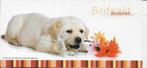 Hond 7, Verzamelen, Postkaarten | Dieren, Verzenden, Hond of Kat
