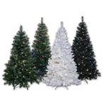 Groene, Zwarte, Witte Kerstbomen. 210 cm Incl. Led's! Nieuw!, Nieuw, Ophalen of Verzenden