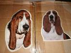 Stickers Bassethound basset, Comme neuf, Envoi