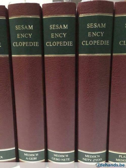 sesam encyclopedie 10 delen, Boeken, Encyclopedieën, Gelezen, Ophalen