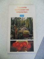 courante cactussen en vetplanten, Boeken, Ophalen of Verzenden, Zo goed als nieuw