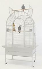 Cage perroquet blanche design CAGE ARA GRIS GABON eclectus, Autres types, Envoi, Métal, Neuf