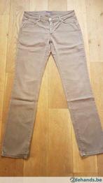 jeansbroek bruin trussardi jeans maat 46/32 dames, Kleding | Dames, Bruin, Maat 42/44 (L), Ophalen of Verzenden, Lang