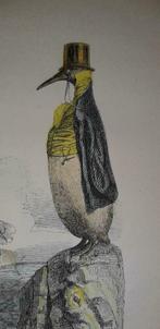 Pierre Goet v.z Grandville J.J.vignette  handgekleurd  1840, Ophalen of Verzenden