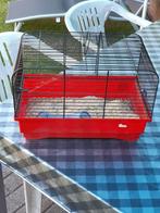 kooitje voor muisje of hamster., Enlèvement, Utilisé, Cage, Moins de 60 cm