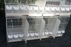 Cages d'élevage grillagées / Cages d'élevage
