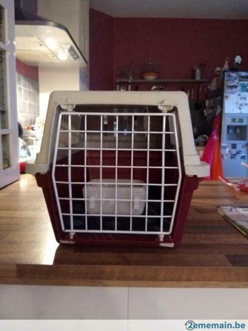 Cage de transport pour chat ou petit chien, Animaux & Accessoires, Accessoires pour chats, Utilisé, Enlèvement