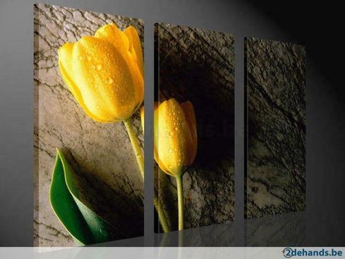 Nieuw * 3 Luik van Canvas * Gele Tulpen 80x130cm, Antiek en Kunst, Kunst | Schilderijen | Modern