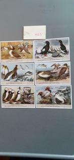 §Chromo série 445 liebig, Collections, Enlèvement ou Envoi, Comme neuf