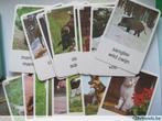 Kwartetspel dieren jaren 70, Hobby en Vrije tijd, Ophalen of Verzenden, Gebruikt
