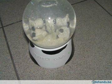 Spaarpot koeien in sneeuwbal, wit-zwarte kleuren  beschikbaar voor biedingen