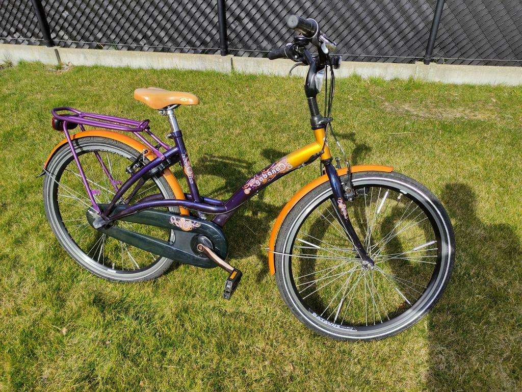 ② Batavus Gabana 24\