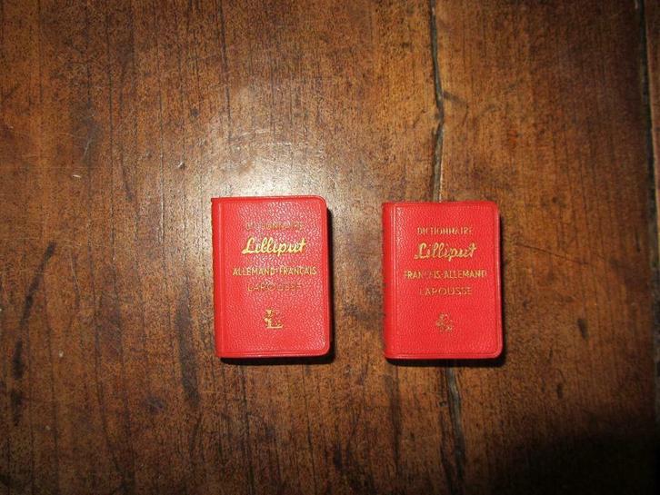 Dictionnaires Lilliput Allemand Français Et Français Allema, Livres, Dictionnaires, Comme neuf, Allemand, Autres éditeurs, Enlèvement