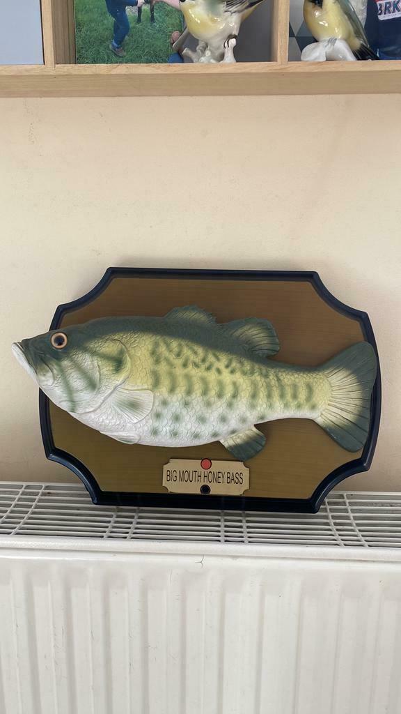 Poisson chanteur et danseur excellent état