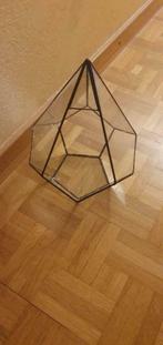 Terrarium voor planten, Huis en Inrichting, Ophalen of Verzenden, Nieuw