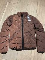 Veste neuve G-Star, G-star Raw, Taille 34 (XS) ou plus petite, Rouge, Neuf