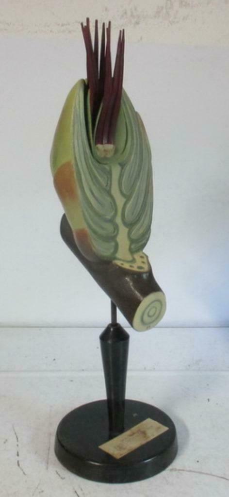 vintage botanisch model bloem plant hazelaar Osterloh, Antiek en Kunst, Curiosa en Brocante, Verzenden