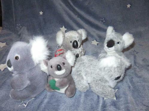 5 koalaberen - koala - knuffel - knuffelbeer, Enfants & Bébés, Jouets | Peluches, Comme neuf, Autres types, Enlèvement ou Envoi
