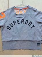 Lichtgrijze sweater 'Superdry', Medium, Kleding | Dames, Gedragen, Grijs, Superdry, Maat 38/40 (M)