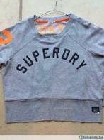 Lichtgrijze sweater 'Superdry', Medium, Kleding | Dames, Maat 38/40 (M), Superdry, Ophalen of Verzenden, Grijs