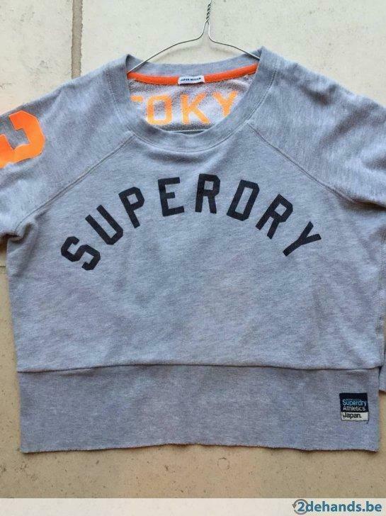 Lichtgrijze sweater 'Superdry', Medium, Kleding | Dames, Truien en Vesten, Gedragen, Maat 38/40 (M), Grijs, Ophalen of Verzenden