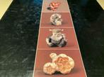 Netsuke Masters 235oag 450ill, Ophalen of Verzenden, Zo goed als nieuw, Beeldhouwkunst