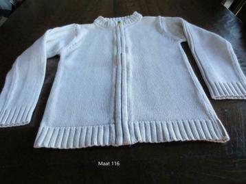 Gilet YCC 116 jongens, Ophalen of Verzenden, Zo goed als nieuw, Jongen, Trui of Vest