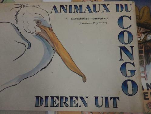 "Animaux du/Dieren uit CONGO" Germaine HAGEMANS, Boeken, Natuur, Gelezen, Overige onderwerpen, Ophalen of Verzenden