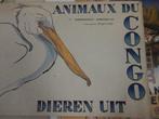 "Animaux du/Dieren uit CONGO" Germaine HAGEMANS, Gelezen, Germaine HAGEMANS, Ophalen of Verzenden, Overige onderwerpen