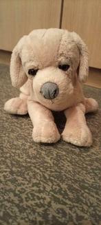 Knuffel hondje in zeer goede staat, Ophalen of Verzenden, Zo goed als nieuw, Hond