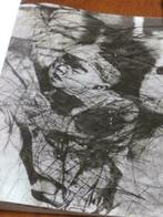 Hiroshima - Arnulf Rainer, Boeken, Ophalen of Verzenden, Overige onderwerpen