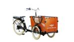 Vélo cargo électrique bi moteur