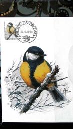 FIRST DAY OP KAART- VOGELS VAN BUZIN- DE KOOLMEES, Ophalen of Verzenden, Gestempeld, Dier of Natuur