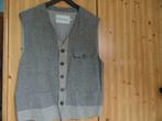 Gilet homme, Ophalen of Verzenden, Gedragen, Autre