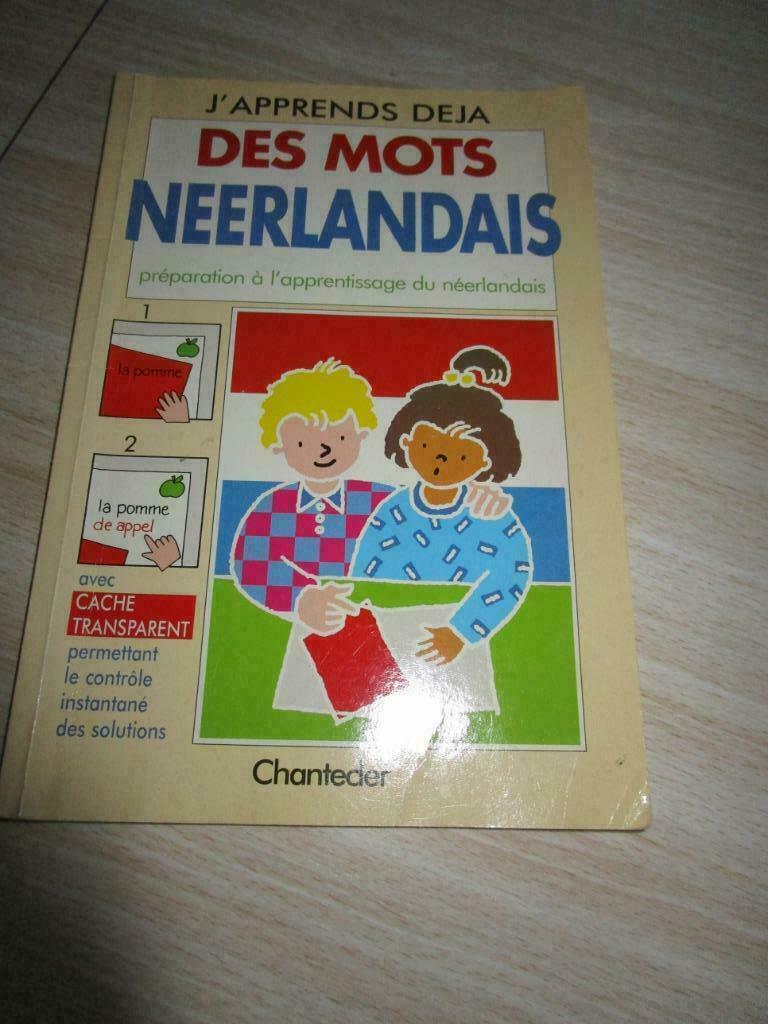 J'apprends déjà des mots Neerlandais, Livres, Livres scolaires, Comme neuf, Néerlandais, Primaire, Enlèvement ou Envoi