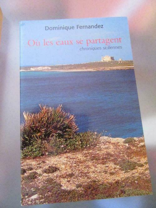 A où les eaux se partagent de Dominique Fernandez, Livres, Romans, Comme neuf, Enlèvement ou Envoi