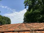 Dakpannen, Ophalen, Gebruikt, Steen of Klei, 5 tot 10 m²