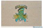 pin's officiel US army air borne special force marine n°3, Collections