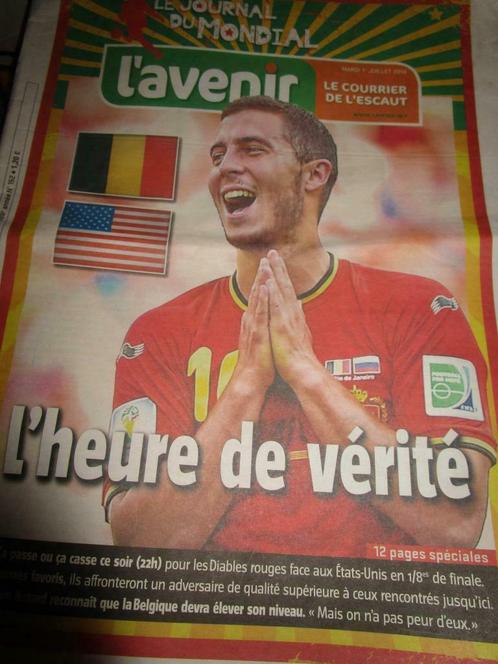 le journal du mondial  2014, Livres, Livres de sport, Comme neuf, Autres sports, Envoi