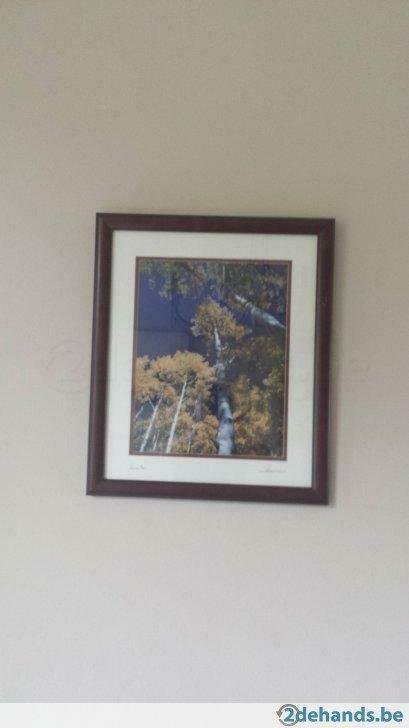 natuurfoto's Ivan van Hass, Antiek en Kunst, Curiosa en Brocante, Ophalen of Verzenden
