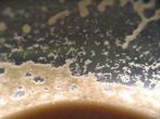 Nourriture microvers pour alevins, Ophalen, Nieuw, Overige typen
