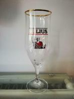 Verres Julius 33cl, Collections, Enlèvement, Comme neuf