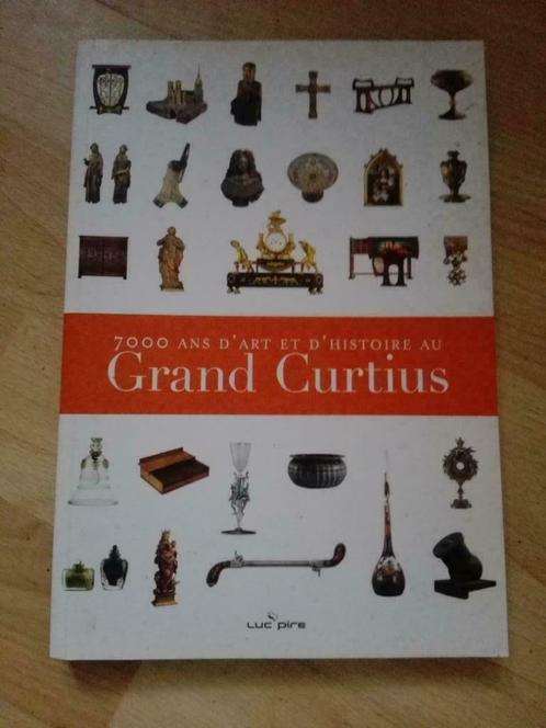 7000 ans d'art et d'histoire au Grand Curtius, Livres, Art & Culture | Arts plastiques, Utilisé, Autres sujets/thèmes, Enlèvement ou Envoi