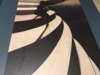 Léon Spilliaert grote monografie 230pag, Boeken, Ophalen of Verzenden, Zo goed als nieuw, Schilder- en Tekenkunst