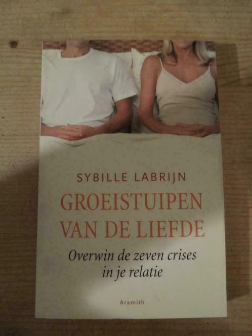 Groeistuipen van de liefde. Sybille Labrijn, Livres, Psychologie, Comme neuf, Enlèvement ou Envoi