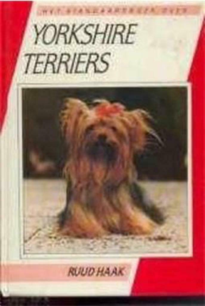 Yorkshire Terriers, Ruud Haak, Enlèvement ou Envoi, Utilisé, Chiens