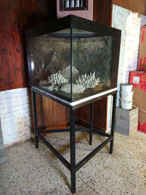 Grand aquarium de coin forme trapezoidal, Dieren en Toebehoren, Vissen | Aquaria en Toebehoren, Ophalen
