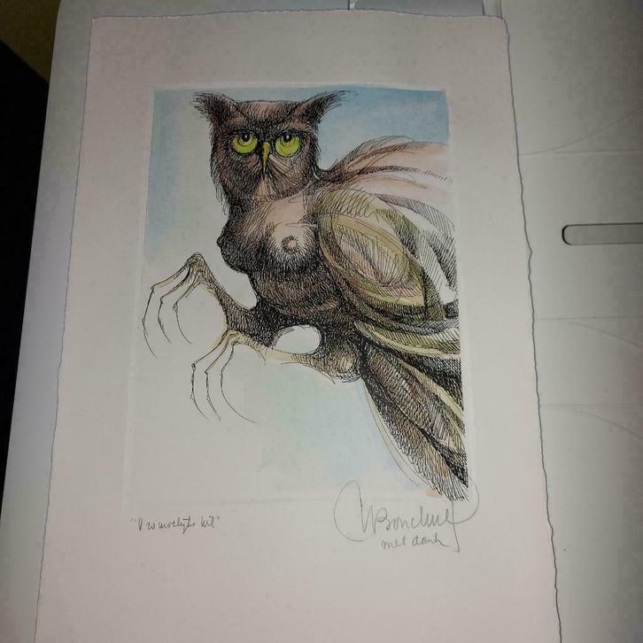 Vrouwelijke uil - Bosschem Willy, Antiek en Kunst, Kunst | Schilderijen | Modern, Ophalen of Verzenden