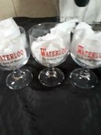 Waterloo The Beer of Bravery 0,25l- 0,33l M16 3 stuks, Ophalen of Verzenden